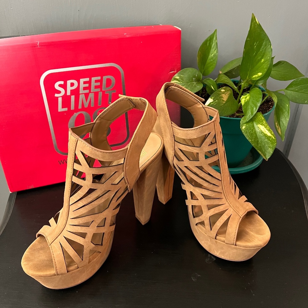 Fashionista Shoe